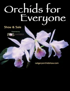 Cattleya with Orchids for Everyone and logo of Foothills Orchid Society