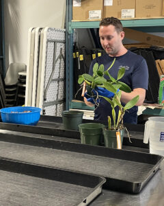 Shawn working with orchids at the Orchid Resource Centre